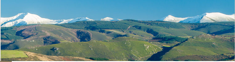 Galería de imágenes